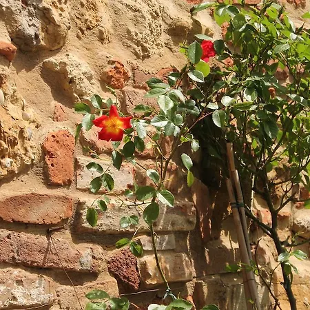 Gasthof La Corte Segreta Montepulciano Stazione